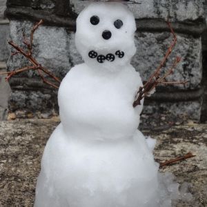 Meet your Posher, Ellen